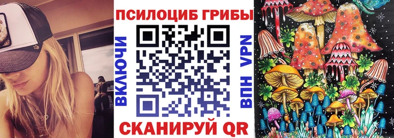 Псилоцибиновые грибы GOLDEN TEACHER  купить наркотики сайты  Ахтубинск 